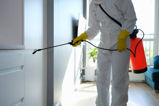 Best Bathroom Mold Remediation in Menifee, CA