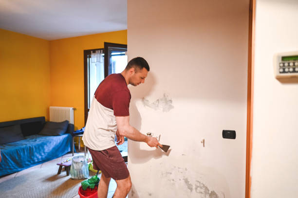 Best Post-Flood Mold Remediation in Menifee, CA